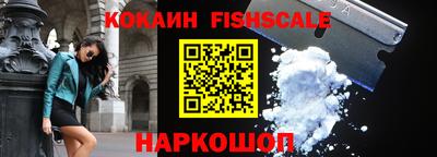 СК Боровичи