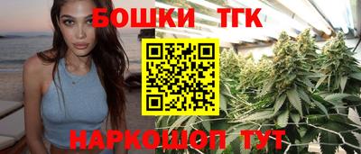 СК Боровичи