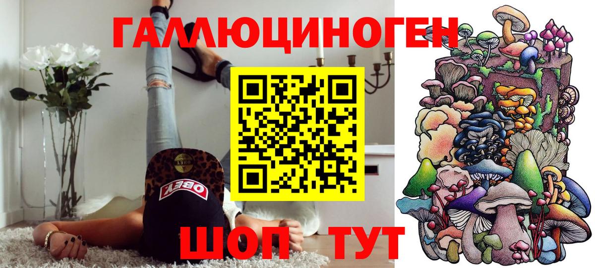 Псилоцибиновые грибы Psilocybe Батайск