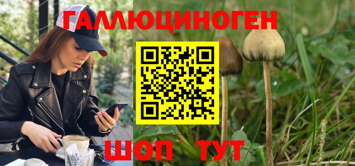 Галлюциногенные грибы ЛСД  Псилоцибиновые грибы прущие грибы  Батайск  Вход с VPN 